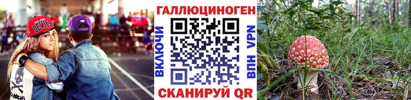 Псилоцибиновые грибы мухоморы  OMG маркетплейс  Велиж  даркнет сайт 